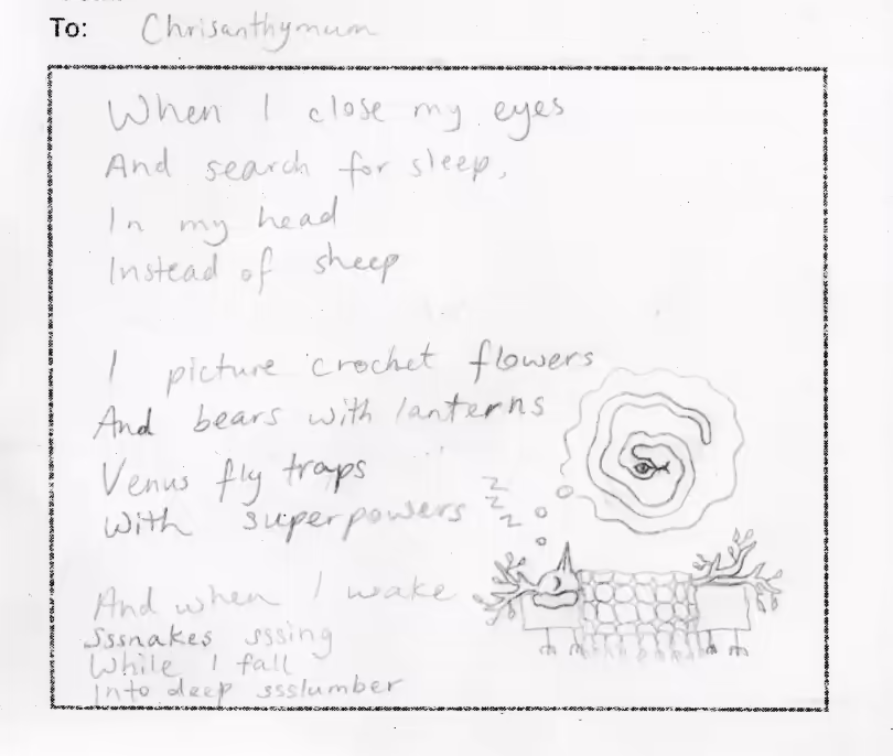 To Chrisanthymum. When I close my eyes and search for sleep, in my head, instead of sheep, I picture crochet flowers and bears with lanterns, venus flytraps with superpowers. And when I wake sssnakes ssssing while I gall into deep ssslumber.