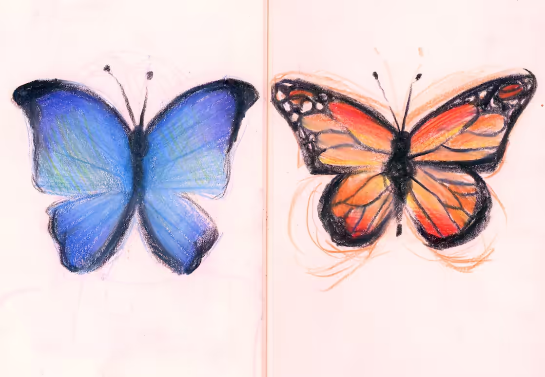 Two butterflies, two life paths, infinite consequences