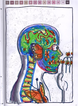Sketch of a brain with butterflies inside it, inside a head